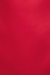 Selina Satin Mini Dress