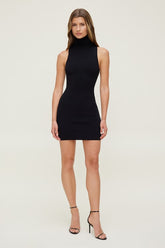 Turtleneck Mini Sweater Dress