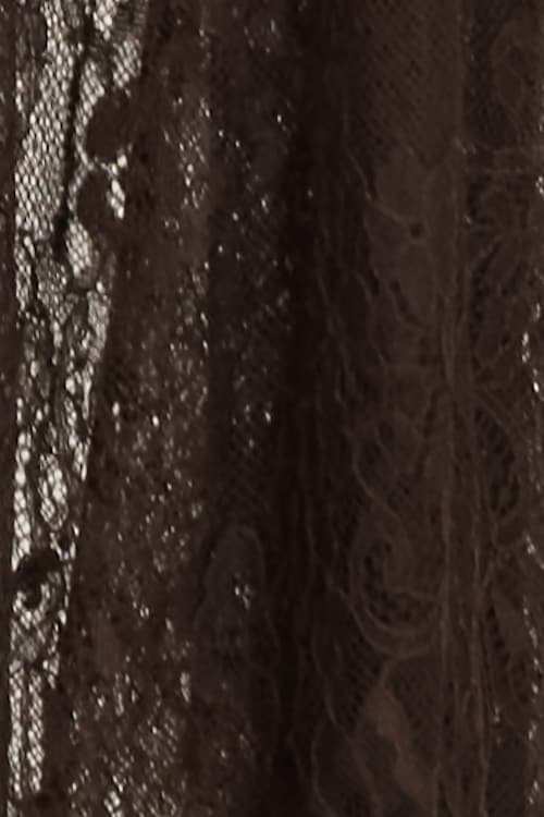 Sheer Lace Maxi Skirt
