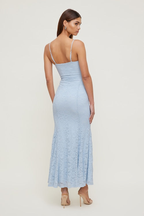 Monet Lace Overlay Maxi Dress