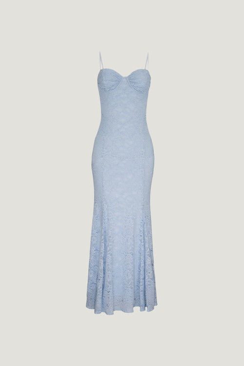 Monet Lace Overlay Maxi Dress