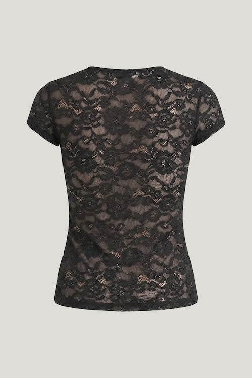 Lace Crewneck Top