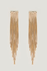 Fringe Chain Earrings