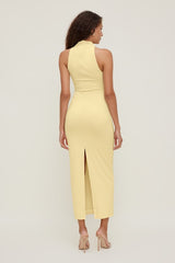 Willow Sculpt Maxi Dress